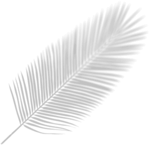 shape image One